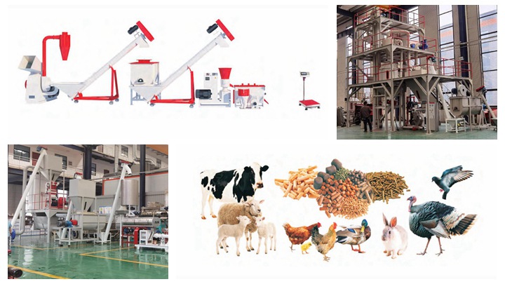 Brand new feed processing machinery and equipment vendor budget in Iraq